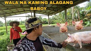 MGA BABOY SA BUKID BINENTA NA NATIN DAHIL SA MGA KUMAKALAT NA VIRUS