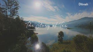 The Story of Tea - Dilmah Tea