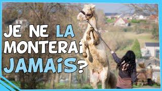 Communication Animale avec Hacienda : je suis déçue et étonnée !