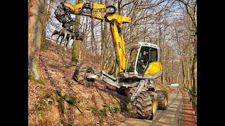 Menzi Muck M545 • Straßensicherung • Durchforstung • Schreitbagger in Action • Big trees • Logging