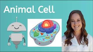 What are the Parts of an Animal Cell?