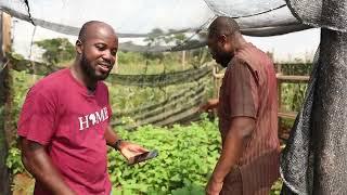 Life of a Young Farmer in Ghana | Kojo Akoto Boateng