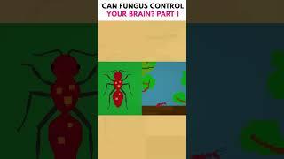 Can Fungus Control Your Brain?  Part 1