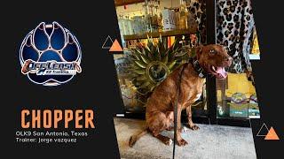 Choppers the 10 Month Old Doberman | Owner Testimony