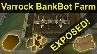 Found a Massive Varrock Bank Bot Farm Plaguing F2P Runescape | OSRS Bot Farm