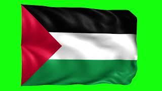 Green screen Footage | Palestine Waving Flag Green Screen Animation | Royalty-Free