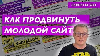 SEO продвижение молодого сайта. Как продвинуть новый сайт