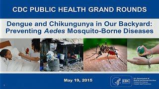 Dengue and Chikungunya in Our Backyard: Preventing Aedes Mosquito-Borne Diseases