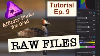 HOW TO EDIT RAW FILES - AFFINITY PHOTO IPAD - Editing Tutorial Ep. 9