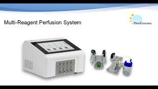 PreciGenome iFlow Multi-Reagent Perfusion System Demo, Pulse Free Flow for cell culture study