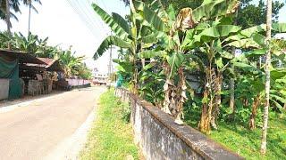 15 cents commercial / residential land near NH, at Muringoor, Chalakudy | Thrissur dt | Kerala.