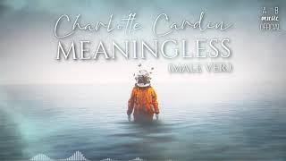 𝐌𝐀𝐋𝐄 𝐕𝐄𝐑. • CHARLOTTE CARDIN • Meaningless