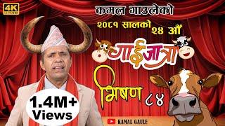 कमल गाउलेको २४ औ गाईजात्रा   || भिषण ८४  || Kamal Gaule 24th Gaijatra 2081 || Kamal Gaule