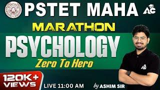 PSTET MAHA Marathon | PSYCHOLOGY | Zero to Hero | By Ashim Sir | Live 11:00 AM