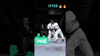 #karate #wkf #martialarts #ippon #rafael #kick #champion