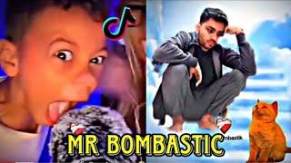 Best of Mr Bombastic Bomba Fantastic Meme / TikTok Compilation ️