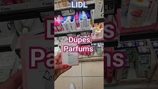 Dupes de  Parfums de Luxe #lidl