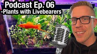 Ep. 06 - You NEED a Planted Livebearer Tank NOW