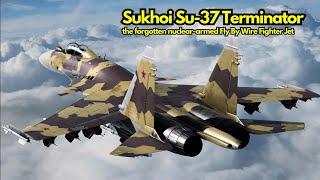 Sukhoi Su-37 Terminator, the forgotten nuclear-armed Fly By Wire Fighter Jet.
