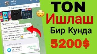 Катта Пул Ишлаш Бир Кунда 5200$‍️ Internetda pul Ishlash 2024 #internetdapulishlash #pulishlash