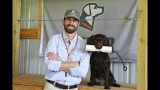 Hold Conditioning vs Force Fetching your Boykin Spaniel