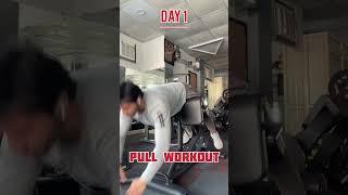 My PULL Workout (2023): Back, Rear Delts & Biceps