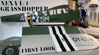 Nexa L-4 Grasshopper First Look