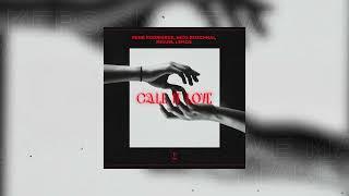 Rene Rodrigezz, Nico Roschnai, Miguel Lemos - Call It Love