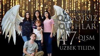 QANOTSIZ QUSHLAR 47 QISM TURK SERIALI UZBEK TILIDA | КАНОТСИЗ КУШЛАР 47 КИСМ УЗБЕК ТИЛИДА