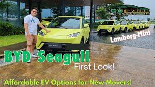 Why the BYD Seagull is the Future of Urban Travel in the Philippines? Test Drive & Quick look!