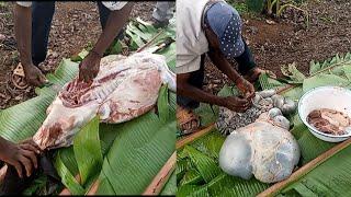 sheep slaughtering in the African village#African@susangeorge7333