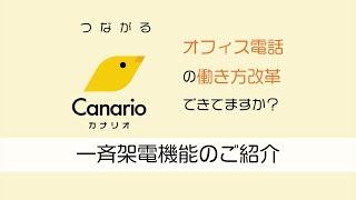 Canario（カナリオ）一斉着信機能のご紹介