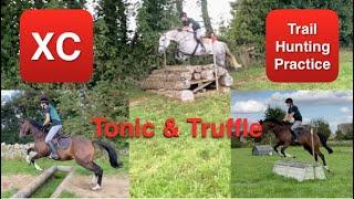 Tonic and Truffle Cross-Country Training - Irish Draught v Thoroughbred | Equestrian