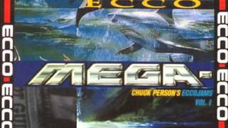 Chuck Person's Eccojams Vol.1 - A3 (Daniel Lopatin)