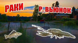 РАКИ. Река Вьюнок. Фармим раковую шейку. РР4.