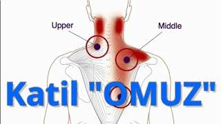 OMUZ  SIRTIMDAKİ YÜK | GEÇMEYEN SIRT AĞRILARI | Fizyoterapist Aynur BAŞ