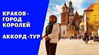 Краков с Аккорд-туром. Первая экскурсия.  Wycieczka po Krakowie