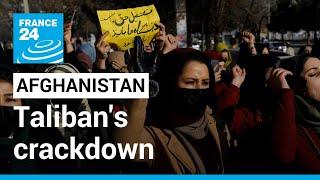 Taliban orders all NGOs in Afghanistan to forbid female employees from working • FRANCE 24 English