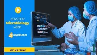 Mastering Microbiology | Medical Student | Video Lectures | V-Learning | sqadia.com