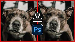 How To Use Clone Stamp Tool In Photoshop 2024 (Easy Method)