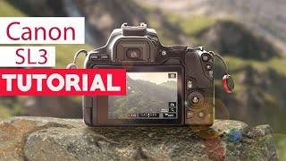 Canon SL3 Tutorial - Beginners Guide