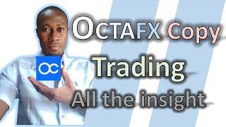 Octafx Copy Trading System (How Does It Work?)