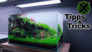 Aquarium Tipps & Tricks | JR Aquascaping