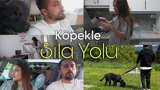 Arabamıza hırsız giriyordu  Köpekle Avrupa’ya yolculuk, Sınırda başımıza gelenler Vlog