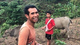 FEEDING SALT TO BUFFALO?!!   Remote Village Life (Khmu) |Travel Luang Prabang to Vientiane - 2021|