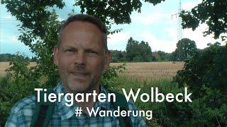 Rundweg Tiergarten Wolbeck | Wanderung