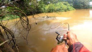 mengejudkan  strike hampala besar di pinggir sungai || casting ikan hampala