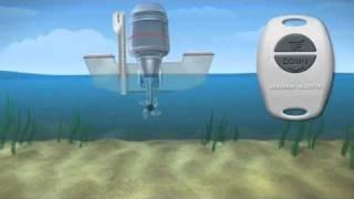 Boat Anchor - Shallow Water Anchor by talon - Overview - iboats