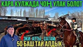 50 ТАЙ УЛАКА СООРУНГА АЛДЫК 2 АТТЫ САТАМ  #байтв