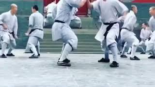 Wushu Shaolin Kung Fu 武术少林 - People Are Awesome Compilation